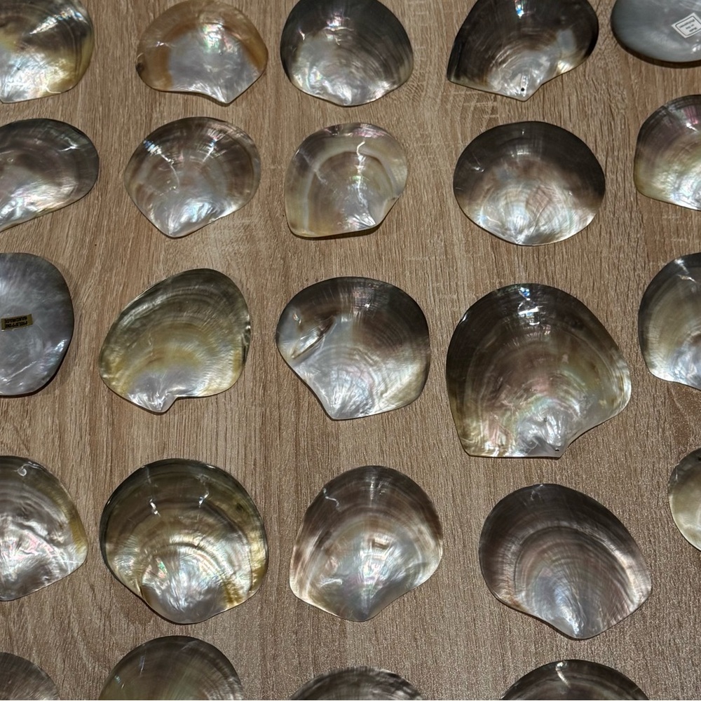 Mother of Pearl Shells- 35 pieces - Picture 4 of 6